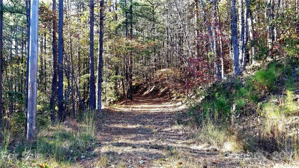 3240 Rock Creek Road Morganton, NC 28655 - Photo 5 of 20 Gallery Image 5