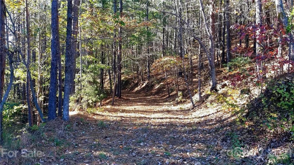 3240 Rock Creek Road Morganton, NC 28655 - Photo 6 of 20 Gallery Image 6