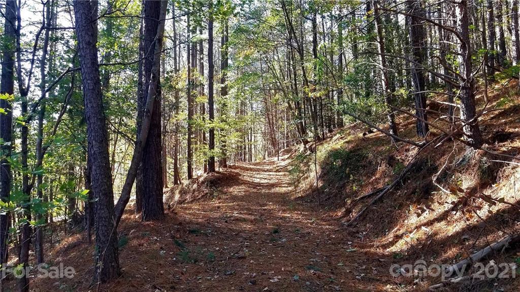 3240 Rock Creek Road Morganton, NC 28655 - Photo 9 of 20 Gallery Image 9