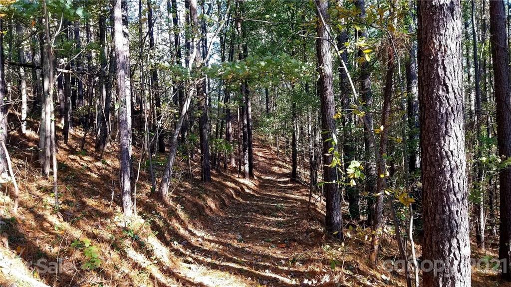 3240 Rock Creek Road Morganton, NC 28655 - Photo 10 of 20 Gallery Image 10