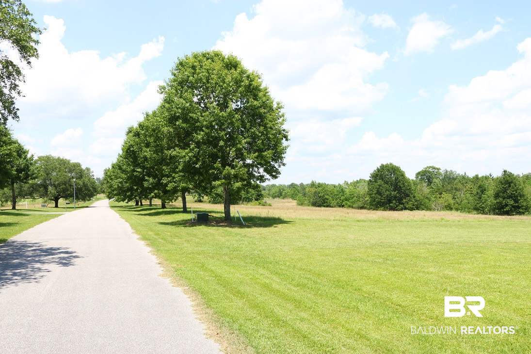23720 Highway 98 Elberta, AL 36530 - Photo 4 of 23 Paved road running through the entire property