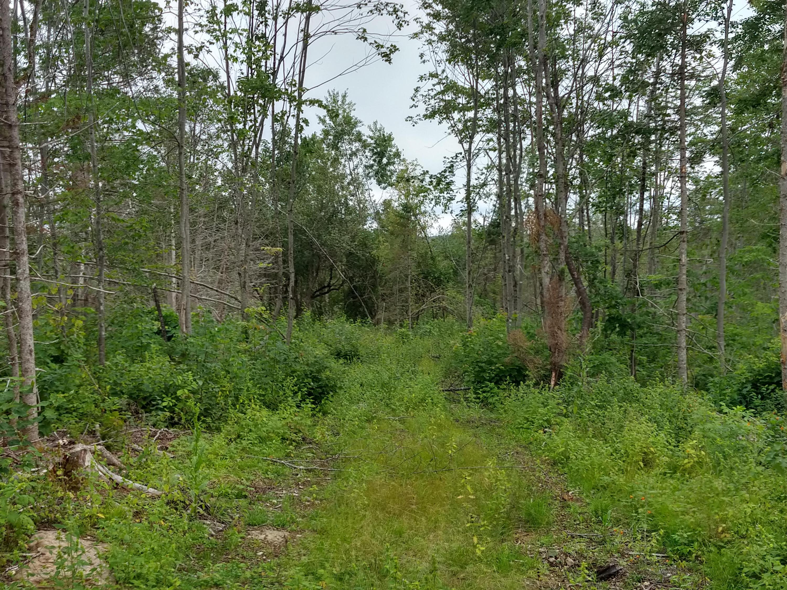 1 Hodgdon Mills Road Linneus, ME 04730 - Photo 5 of 11 IMG_20190819_160109777_HDR