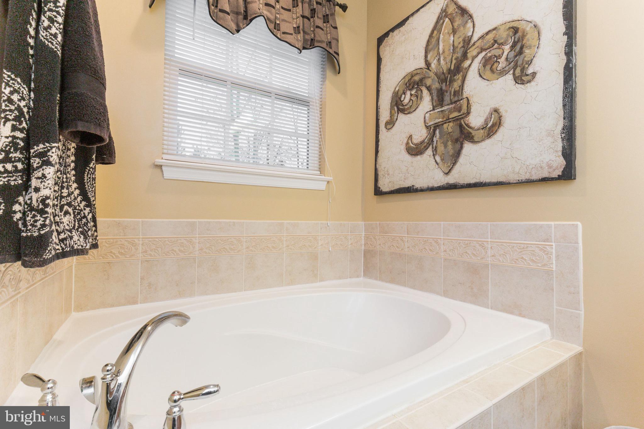 14305 Lusby Ridge Road Accokeek, MD 20607 - Photo 37 of 57 Owner's Bath