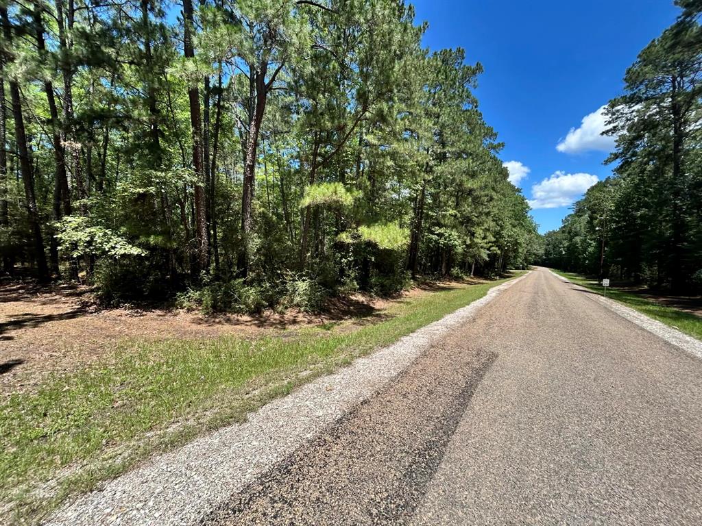 Lot 19 B H Carroll Street Trinity, TX 75862 - Photo 8 of 14
