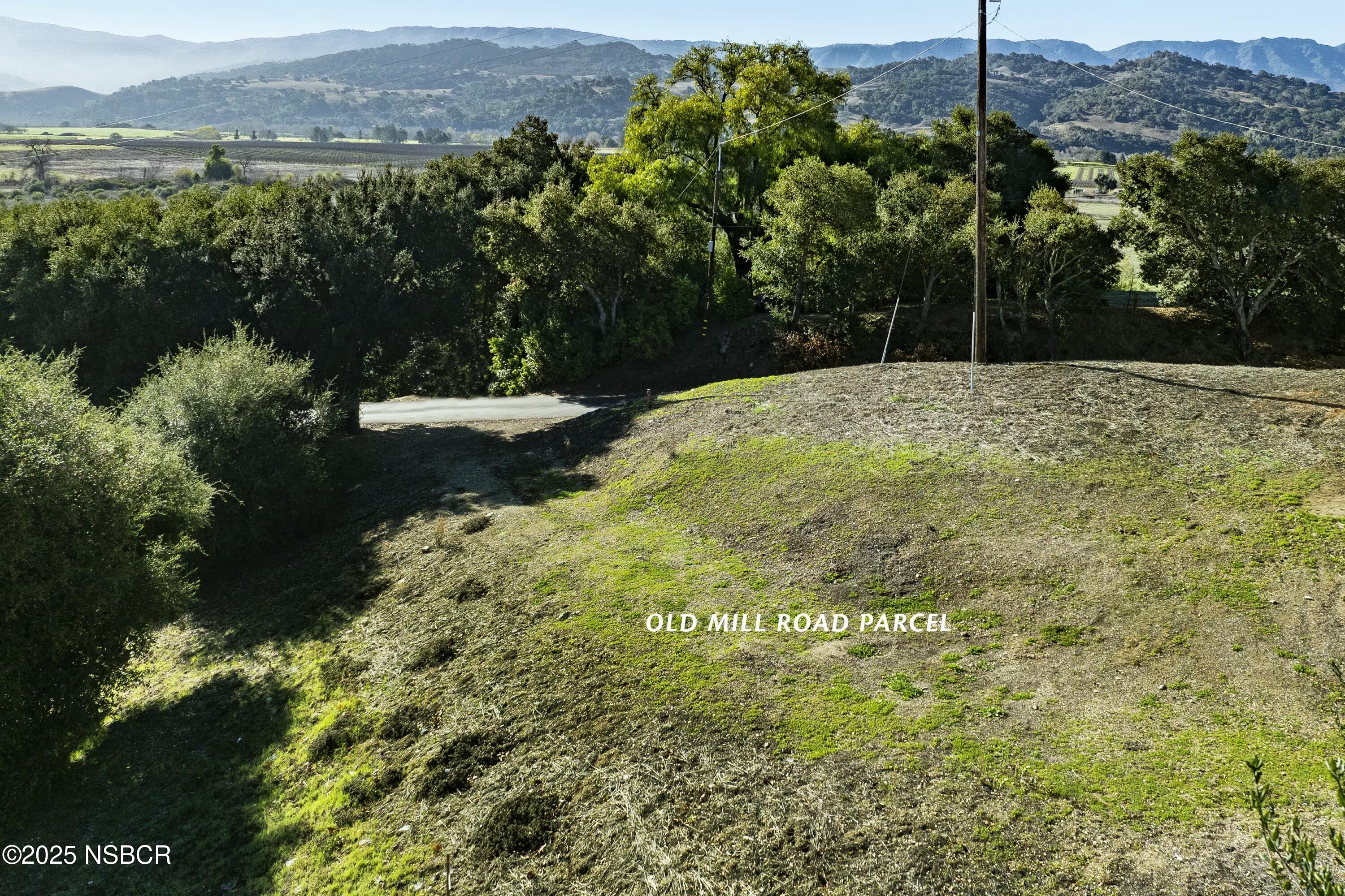Old Mill Road Solvang, CA 93463 - Photo 9 of 14 a view of a yard with plants and large trees