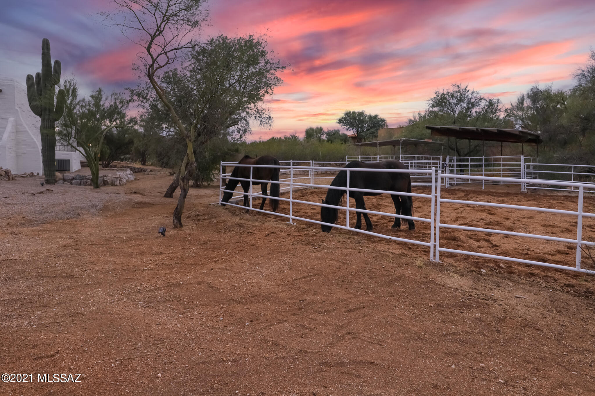 924 North Rancho Del Jefe Loop Tucson, AZ 85748 - Photo 49 of 50 Gallery Image 49