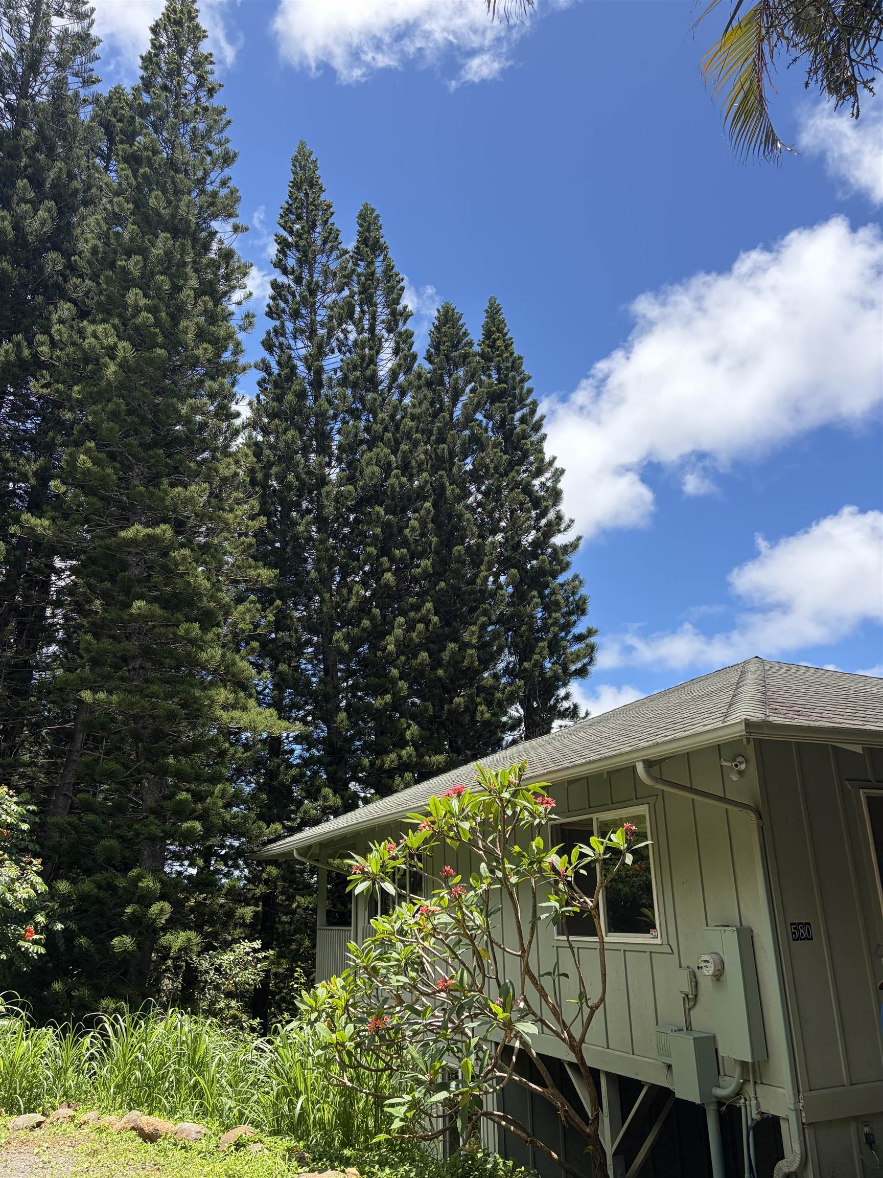 580 West Kuiaha Road Haiku, HI 96708 - Photo 4 of 29