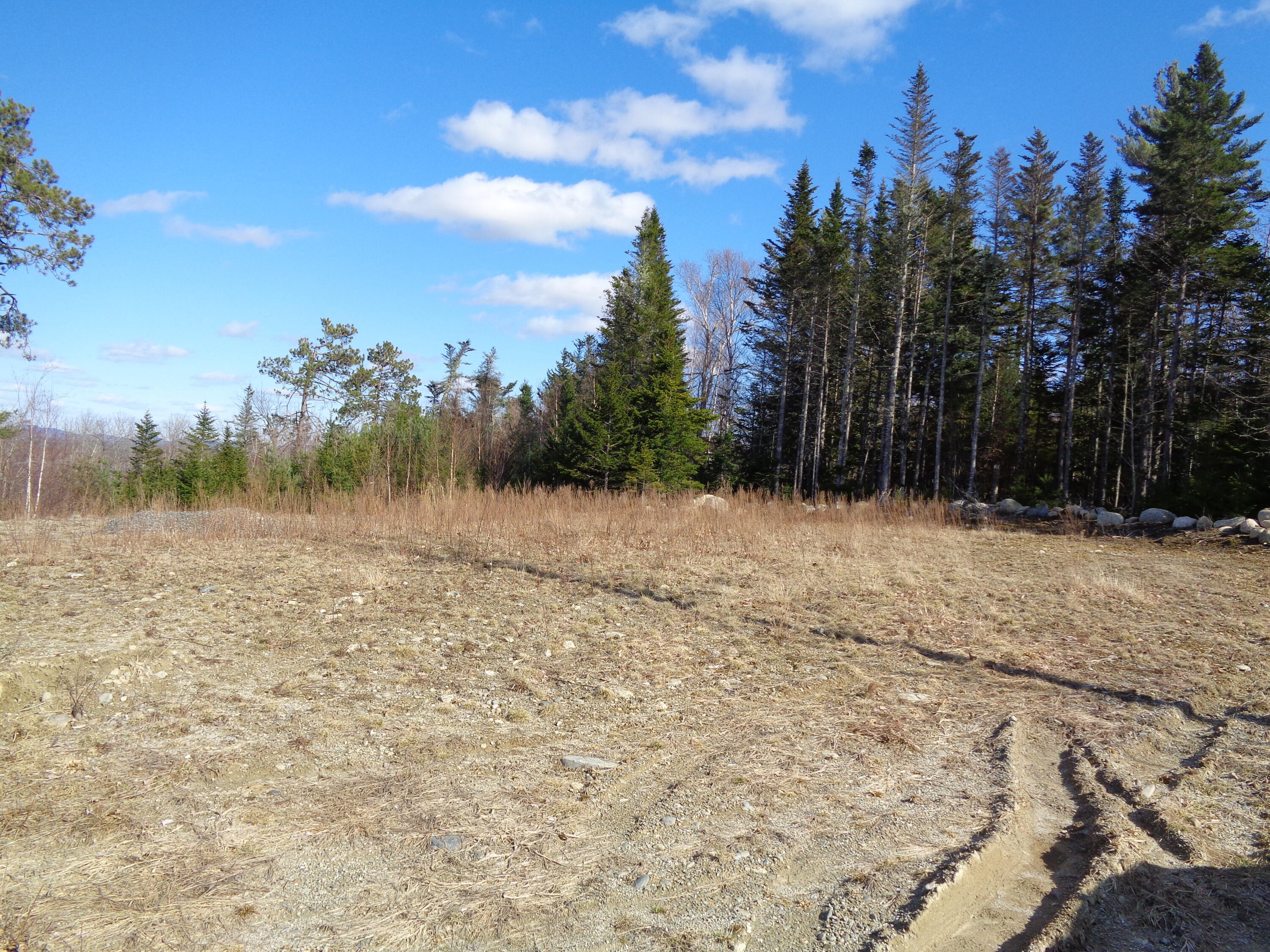 323 Moore Road Ellsworth, ME 04605 - Photo 7 of 28 Clearing