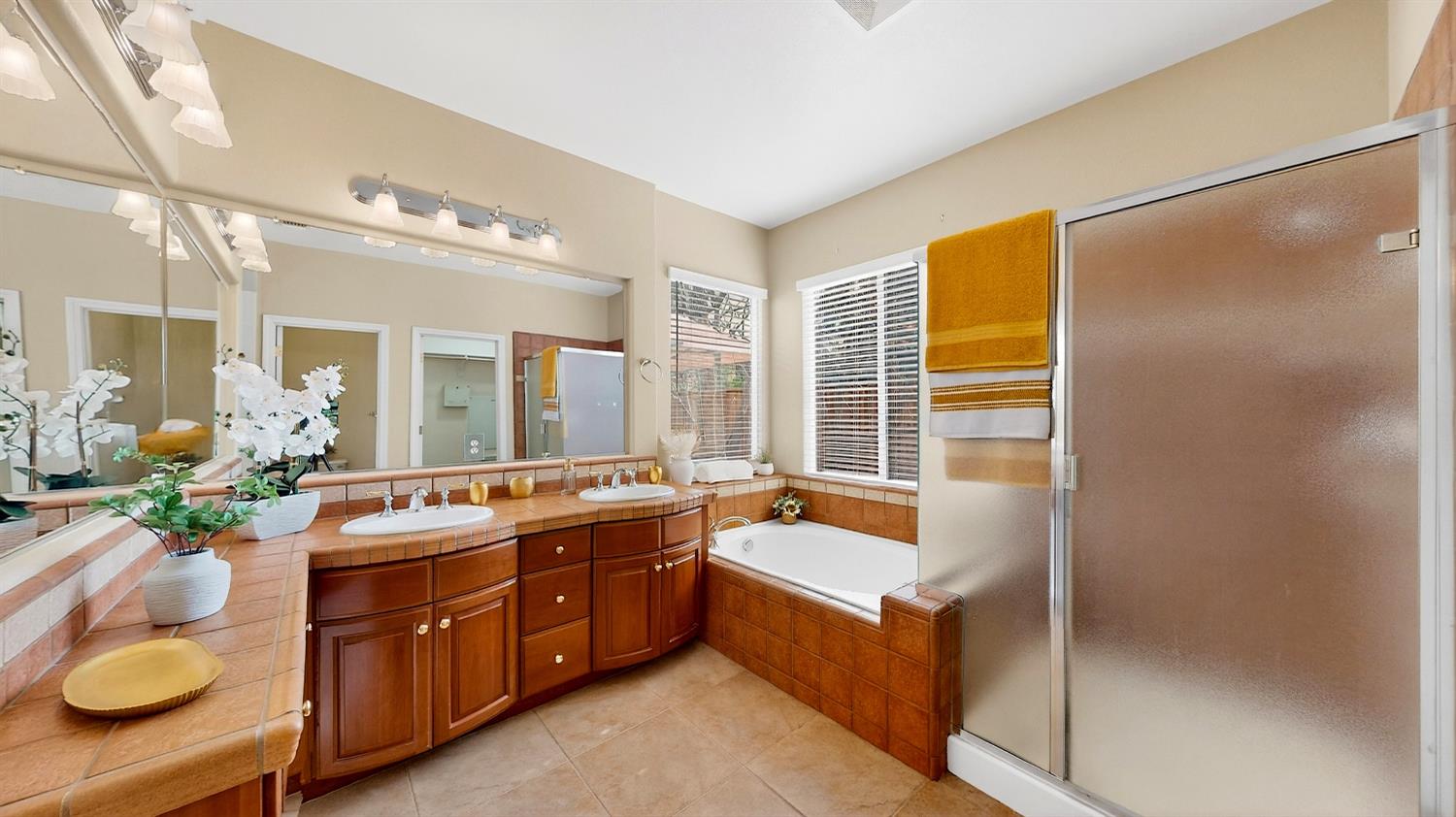 4102 Windrose Drive Turlock, CA 95382 - Photo 31 of 45 a large bathroom with a tub sink and mirror