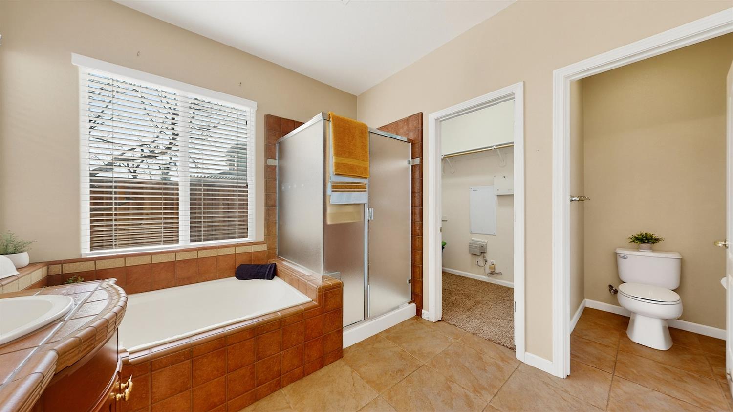 4102 Windrose Drive Turlock, CA 95382 - Photo 32 of 45 a room with a bed and a view of bathroom