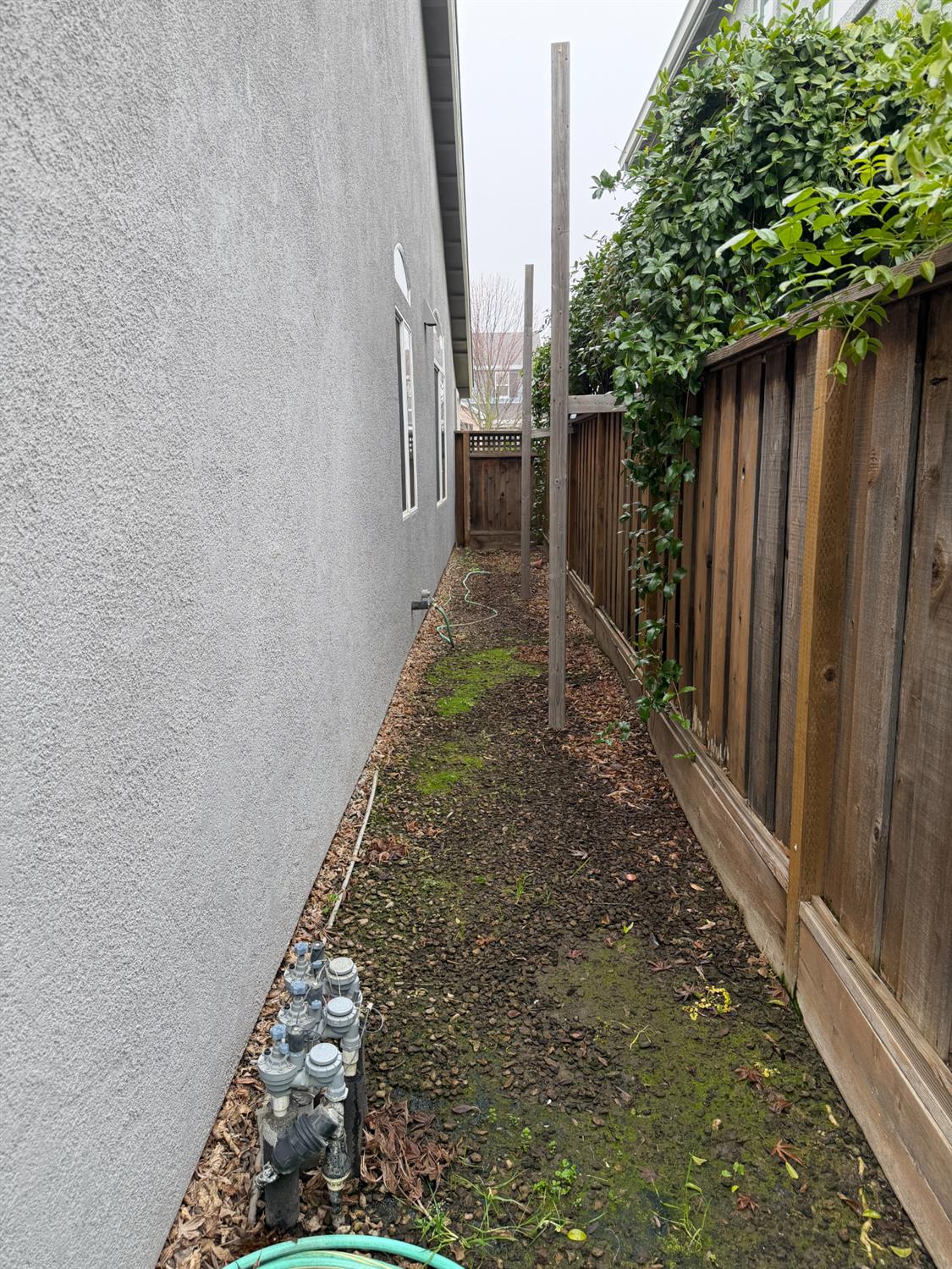 4102 Windrose Drive Turlock, CA 95382 - Photo 45 of 45 a backyard of a house with green space