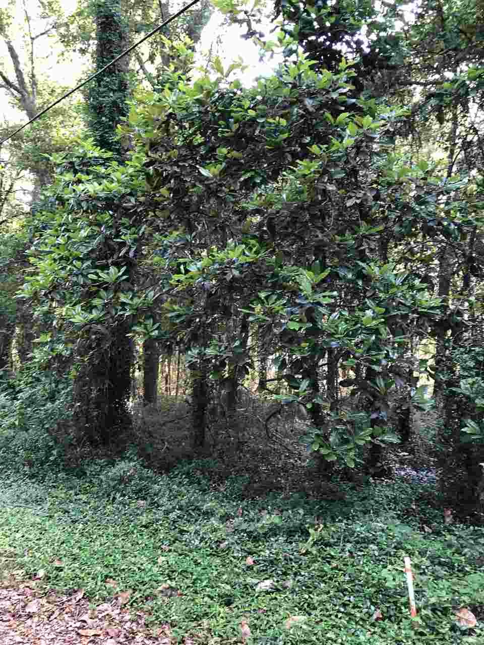 0 Bay Street Magnolia Springs, AL 36555 - Photo 6 of 8