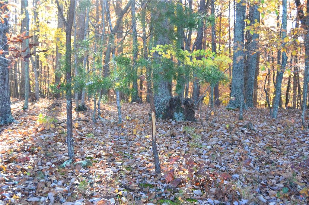 0 Wray Road Stoneville, NC 27048 - Photo 12 of 32 Gallery Image 12