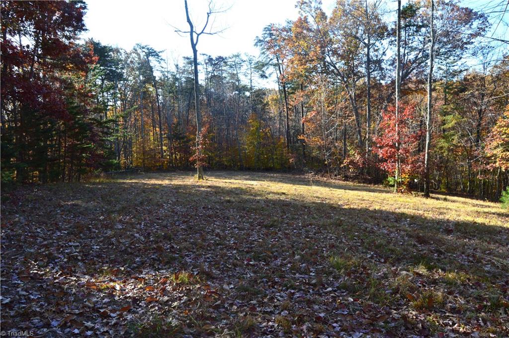 0 Wray Road Stoneville, NC 27048 - Photo 13 of 32 Gallery Image 13