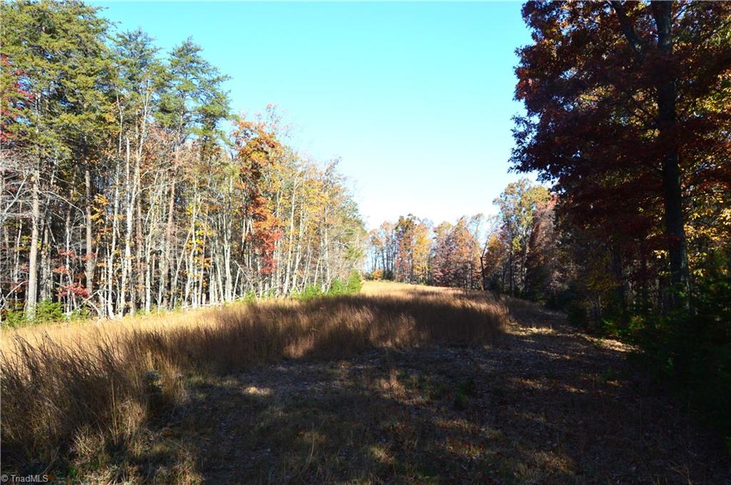 0 Wray Road Stoneville, NC 27048 - Photo 23 of 32 Gallery Image 23
