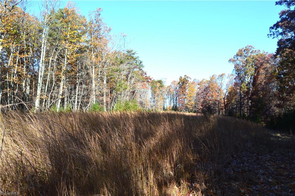 0 Wray Road Stoneville, NC 27048 - Photo 26 of 32 Gallery Image 26