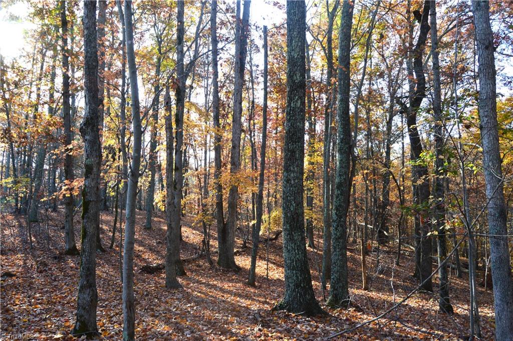 0 Wray Road Stoneville, NC 27048 - Photo 8 of 32 Gallery Image 8