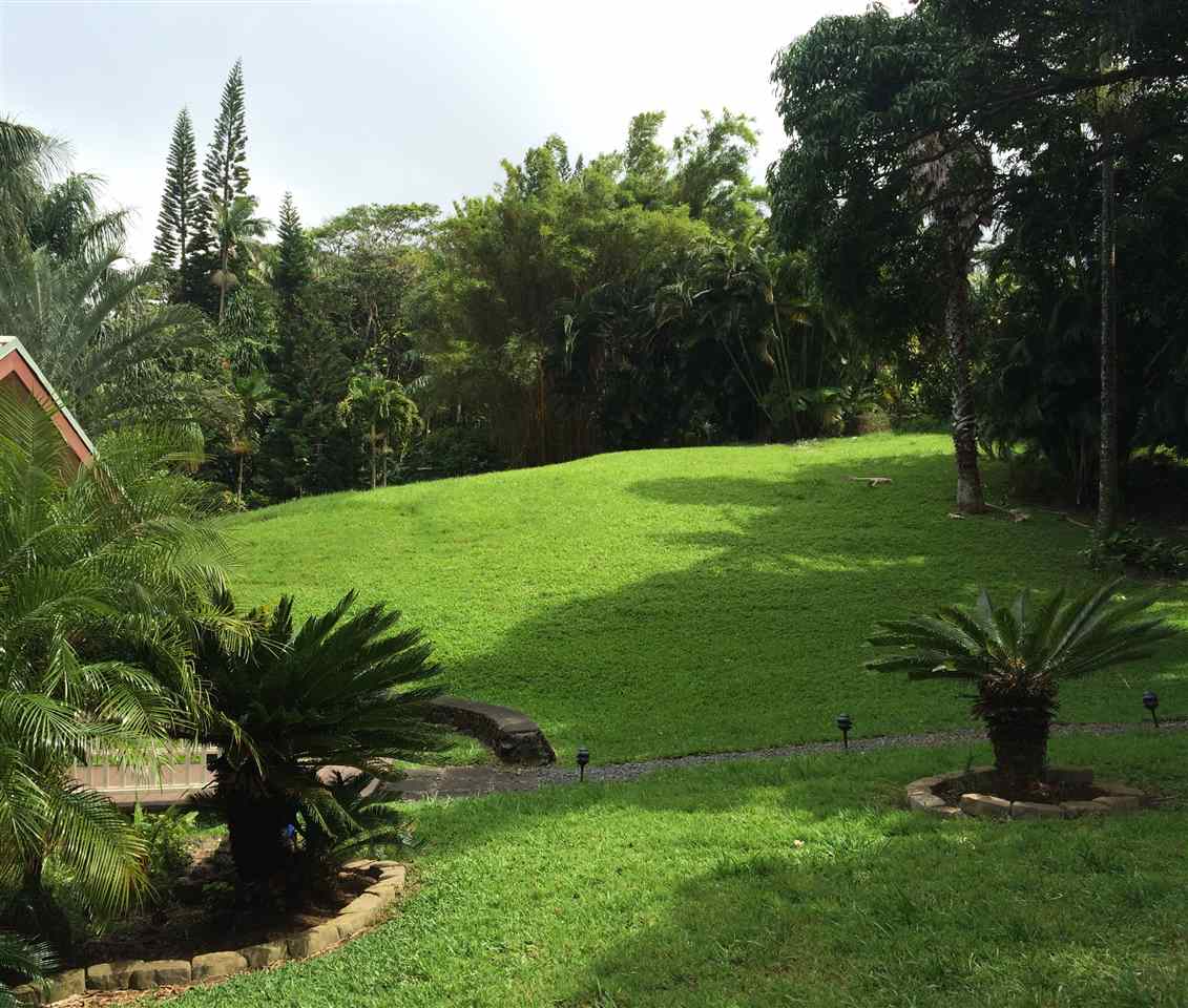 10 Honokaupu Place Haiku, HI 96708 - Photo 14 of 23 a view of a garden with a tree