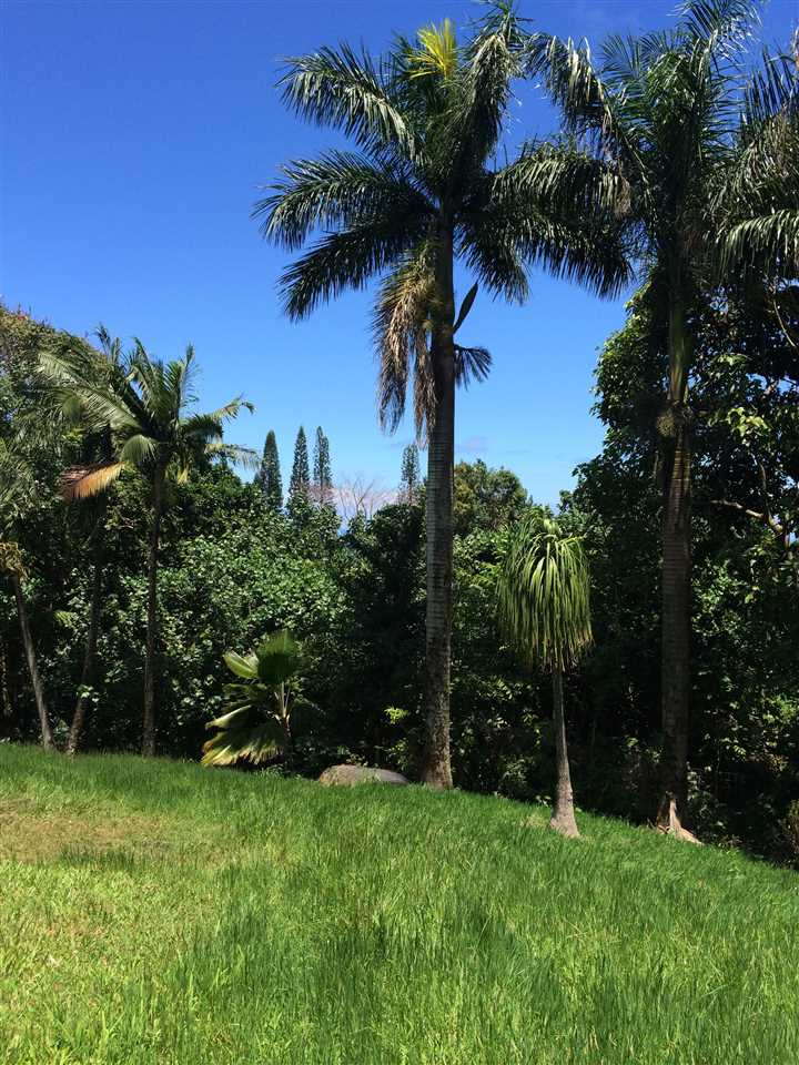 10 Honokaupu Place Haiku, HI 96708 - Photo 15 of 23 a view of a garden