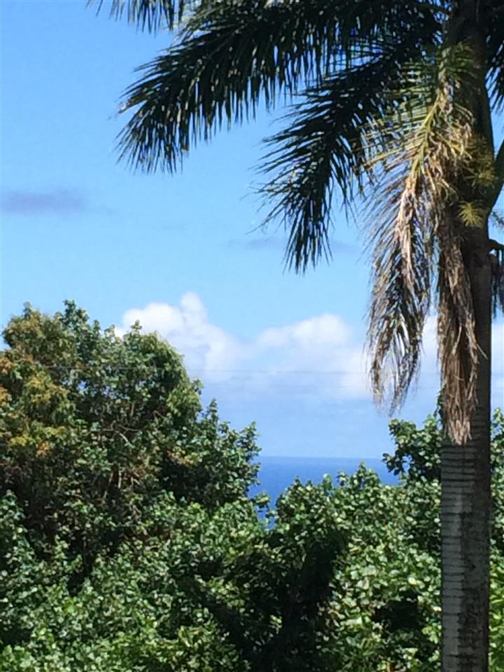 10 Honokaupu Place Haiku, HI 96708 - Photo 21 of 23 an ocean view with a garden