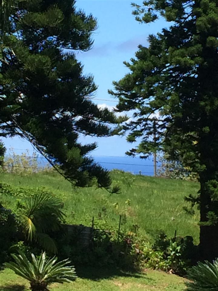 10 Honokaupu Place Haiku, HI 96708 - Photo 23 of 23 a view of a garden with a lake