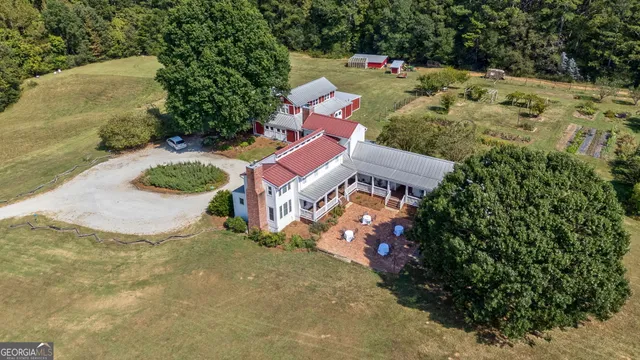 a green field with lots of plants and trees in the background