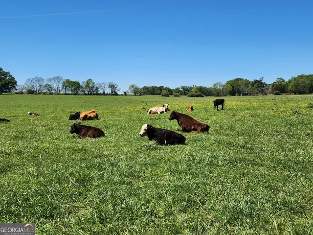 $3,695,000 | 1051 Meadow Lane, Madison, GA 30650