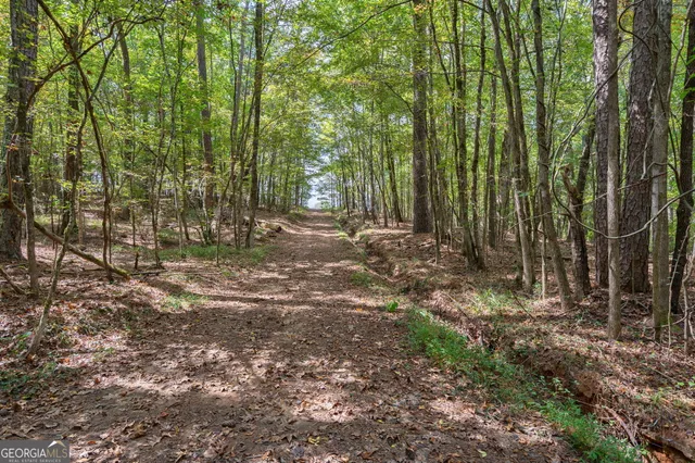 $3,695,000 | 1051 Meadow Lane, Madison, GA 30650