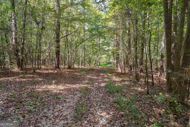 $3,695,000 | 1051 Meadow Lane, Madison, GA 30650