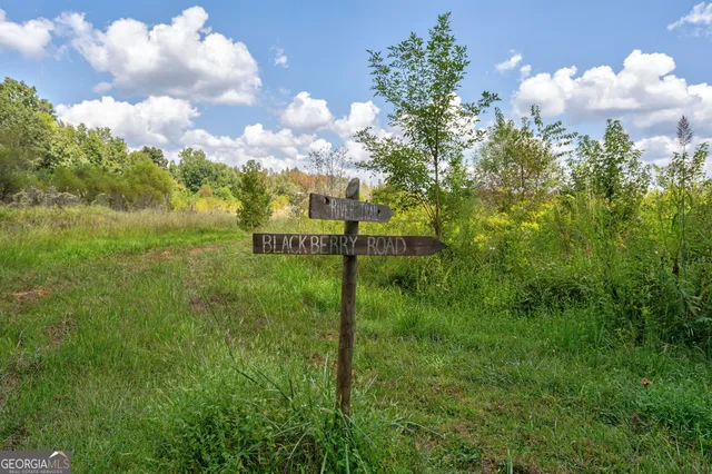 $3,695,000 | 1051 Meadow Lane, Madison, GA 30650