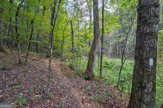 $3,695,000 | 1051 Meadow Lane, Madison, GA 30650