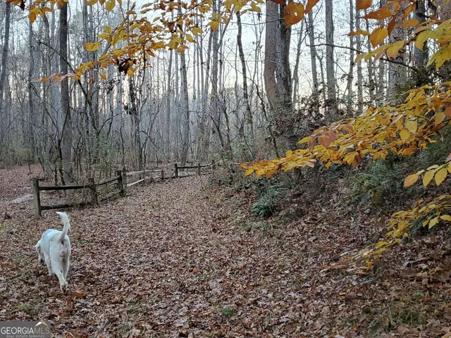 $3,695,000 | 1051 Meadow Lane, Madison, GA 30650