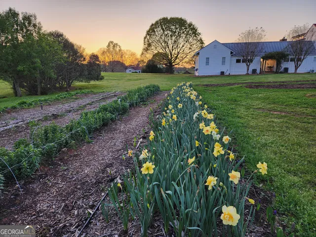 $3,695,000 | 1051 Meadow Lane, Madison, GA 30650