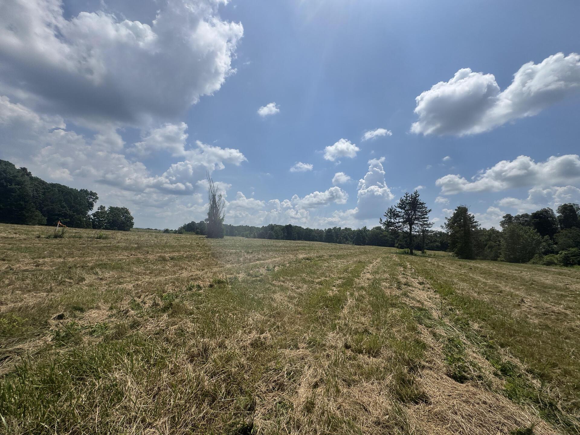 370 Golf Course Road, Unit TRACT 5 SKYLINEACRES) Waverly, OH 45690 - Photo 11 of 38 CT-11