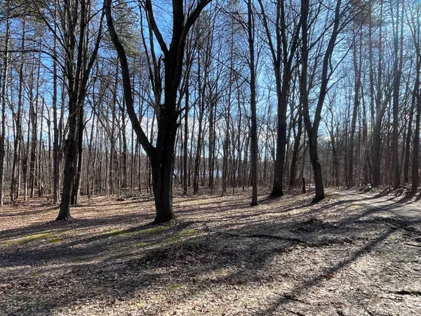 $214,900 | 11969 Strait Road, Hanover, MI 49241