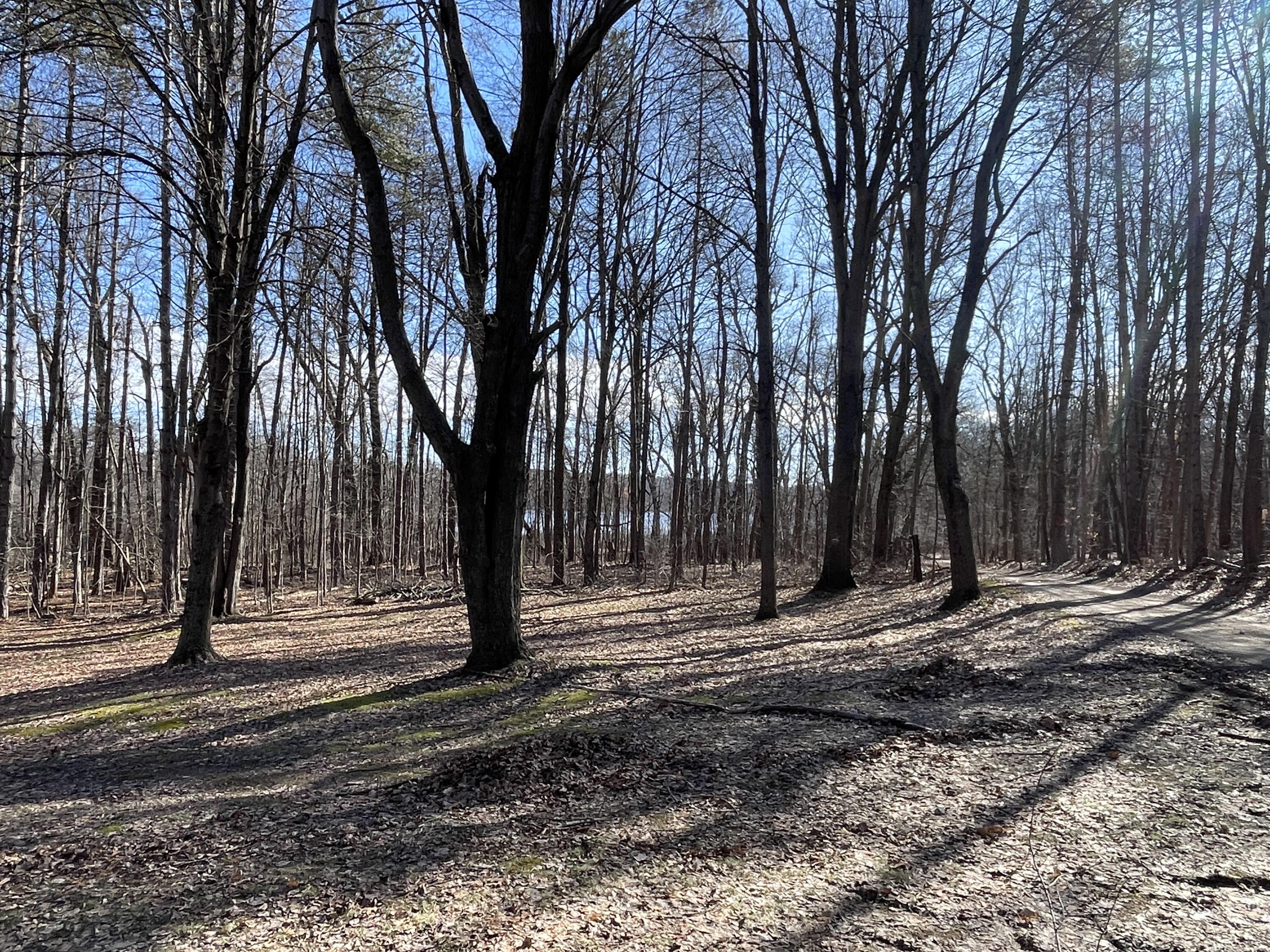 11969 Strait Road Hanover, MI 49241 - Photo 2 of 39 IMG_4748
