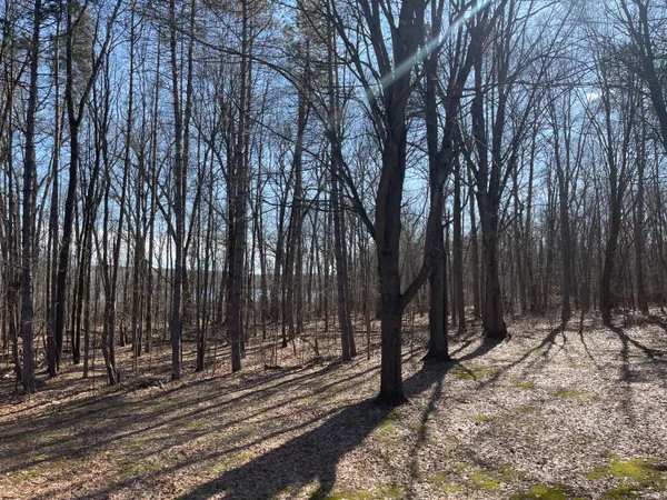 $214,900 | 11969 Strait Road, Hanover, MI 49241