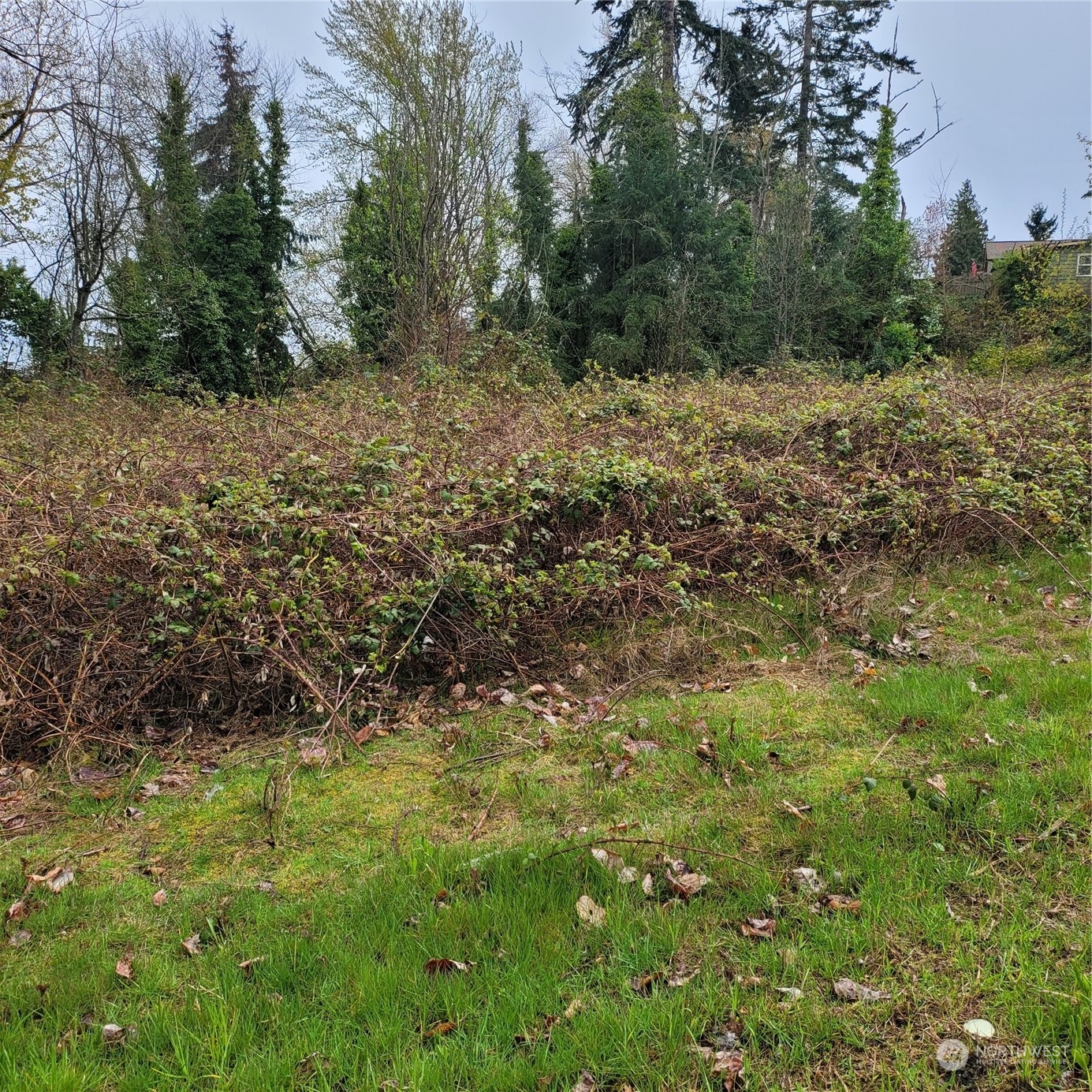 9410 Olson Place Southwest Seattle, WA 98106 - Photo 1 of 11 Gallery Image 1