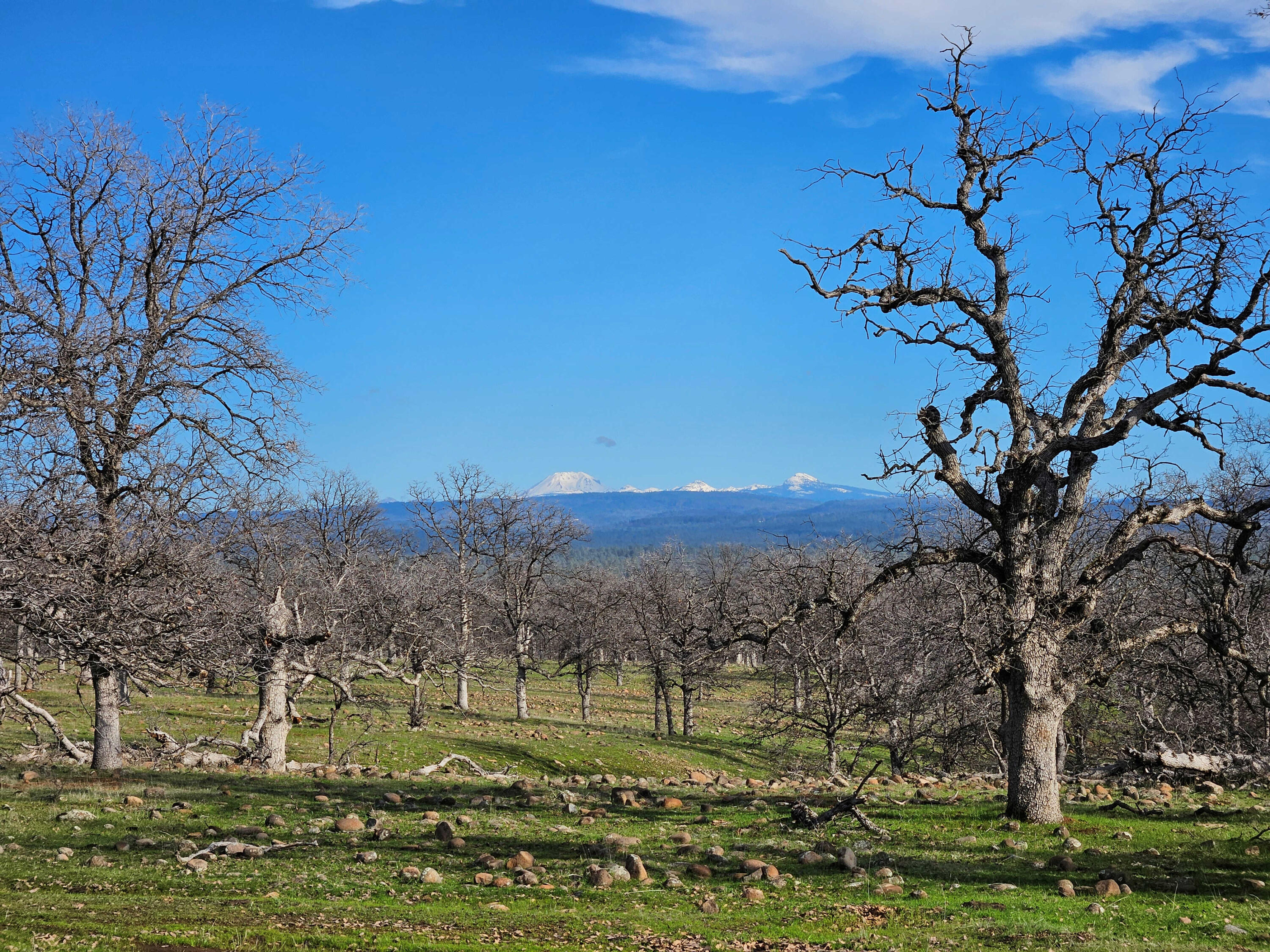 7255 Hyrax Road Shingletown, CA 96088 - Photo 11 of 77 Mt Lassen view
