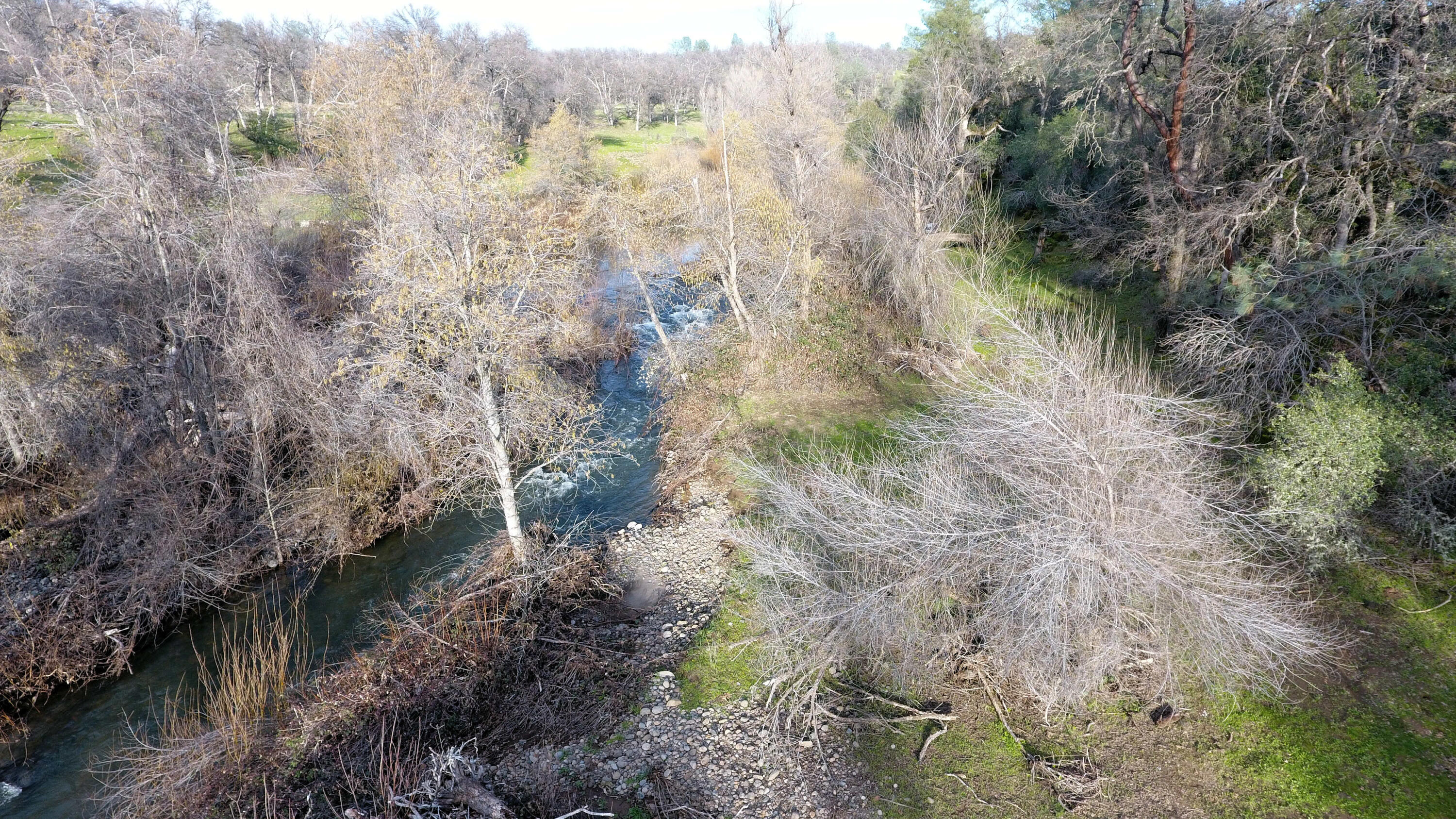 7255 Hyrax Road Shingletown, CA 96088 - Photo 14 of 77 Bear Creek 6