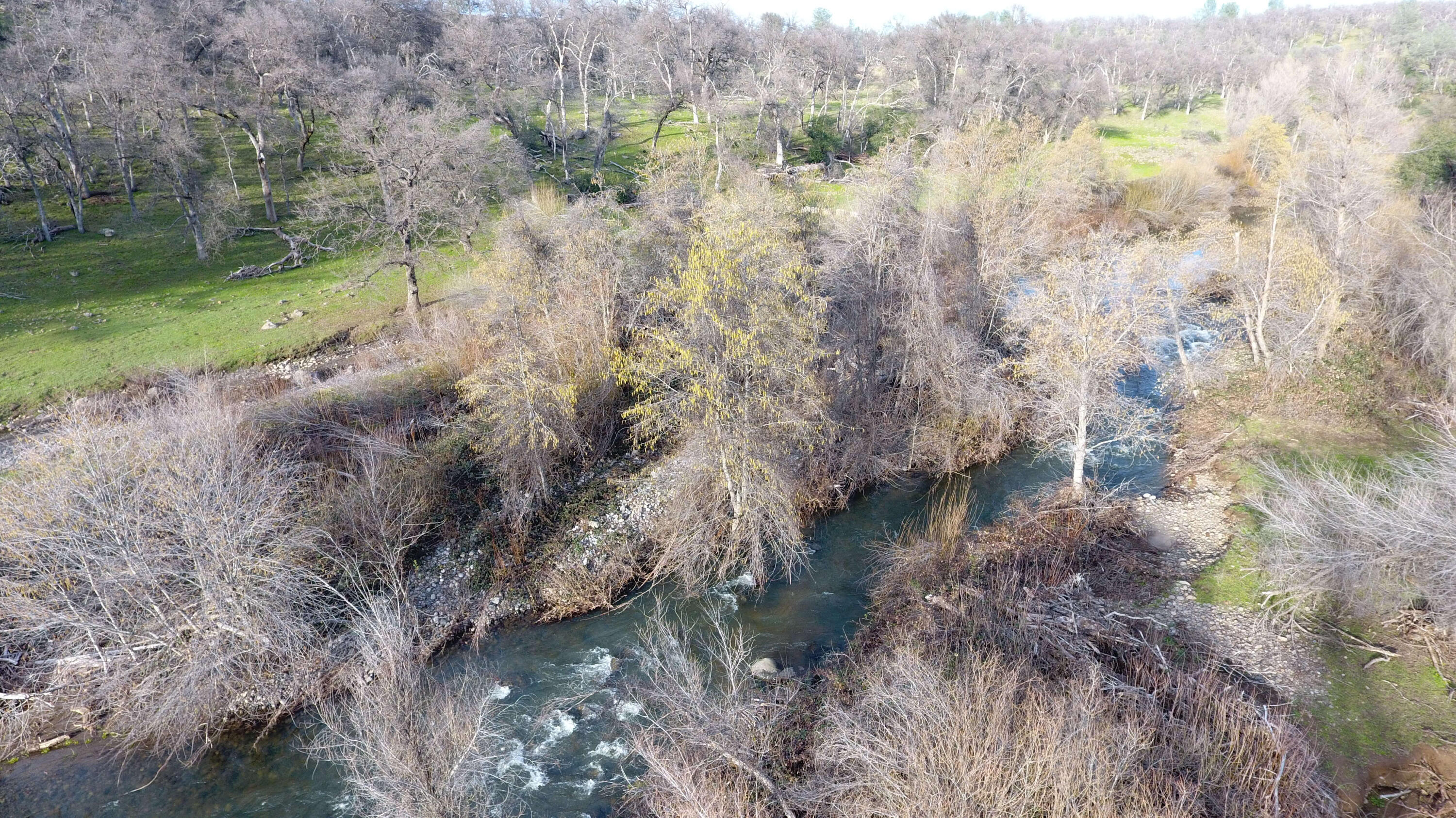 7255 Hyrax Road Shingletown, CA 96088 - Photo 15 of 77 Bear Creek 8