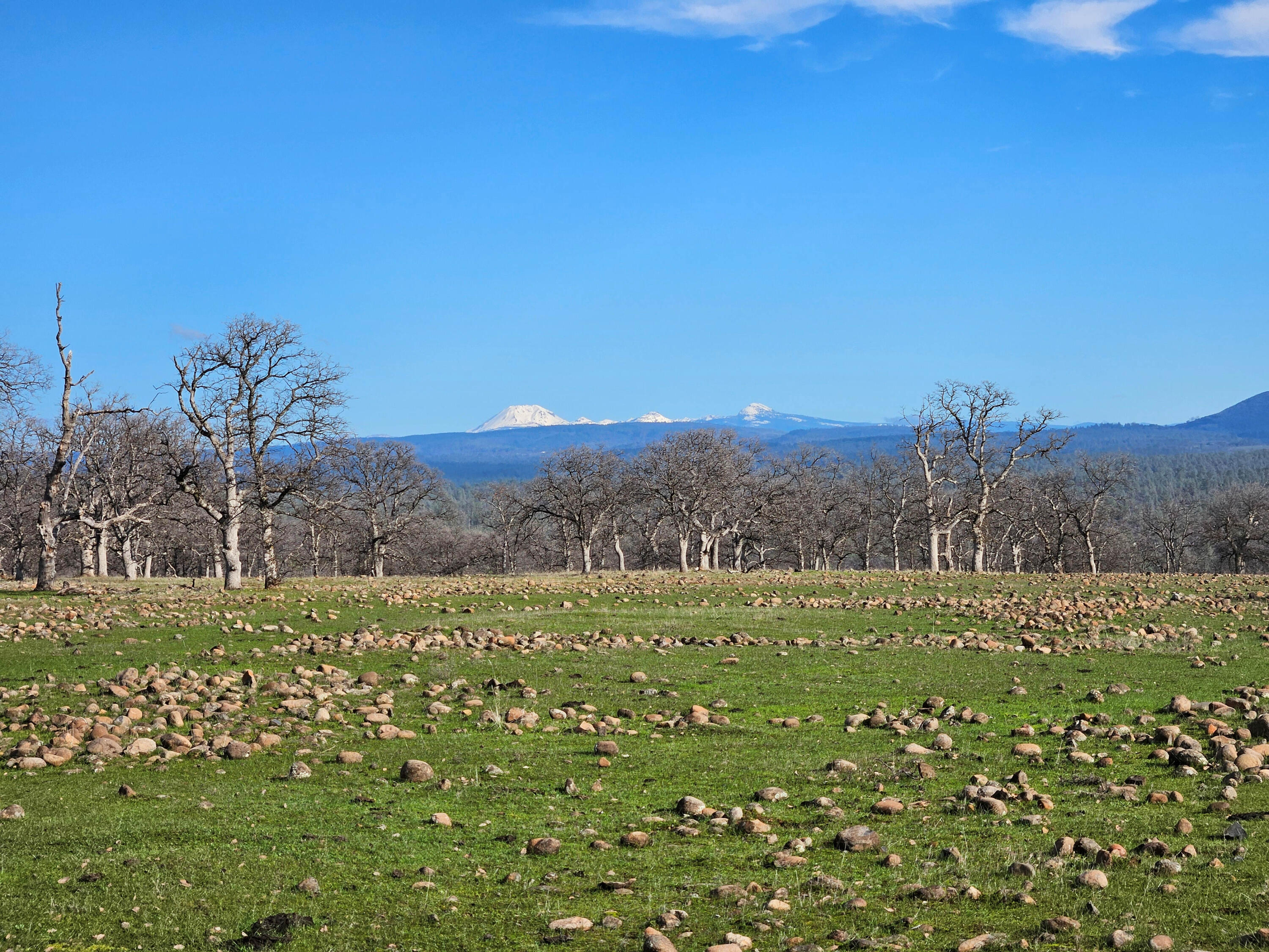 7255 Hyrax Road Shingletown, CA 96088 - Photo 19 of 77 Another Lassen view