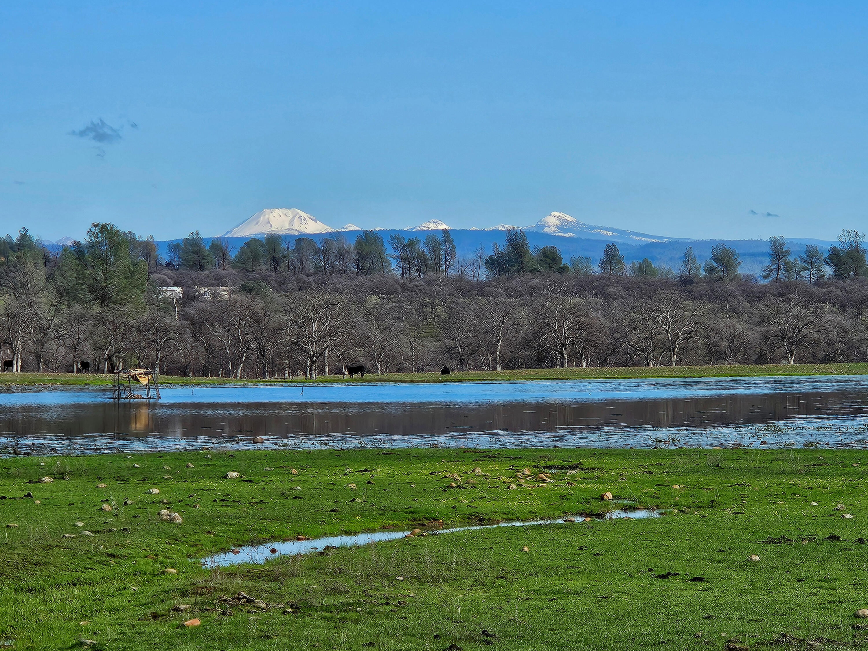 7255 Hyrax Road Shingletown, CA 96088 - Photo 2 of 77 Mt Lassen