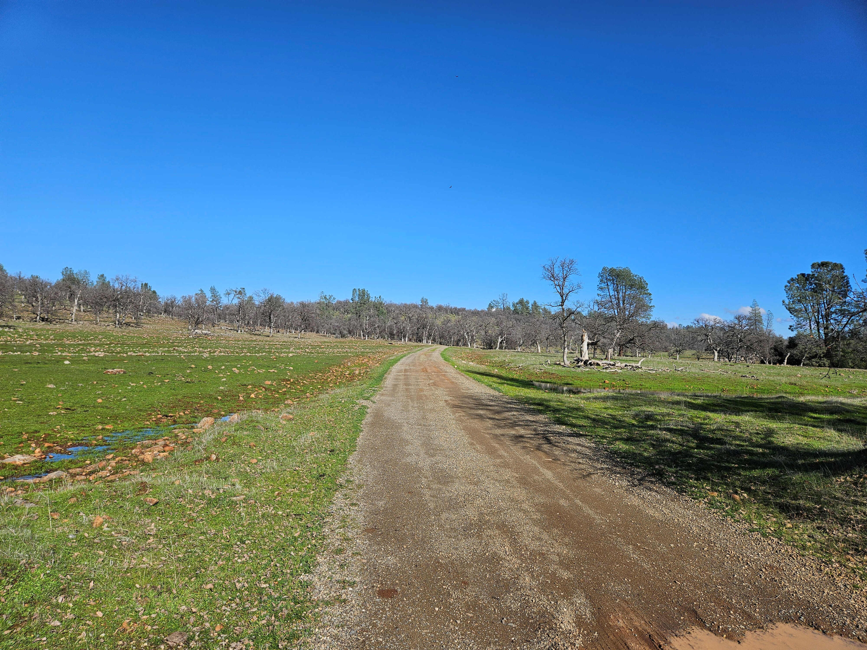 7255 Hyrax Road Shingletown, CA 96088 - Photo 24 of 77 Driveway to home