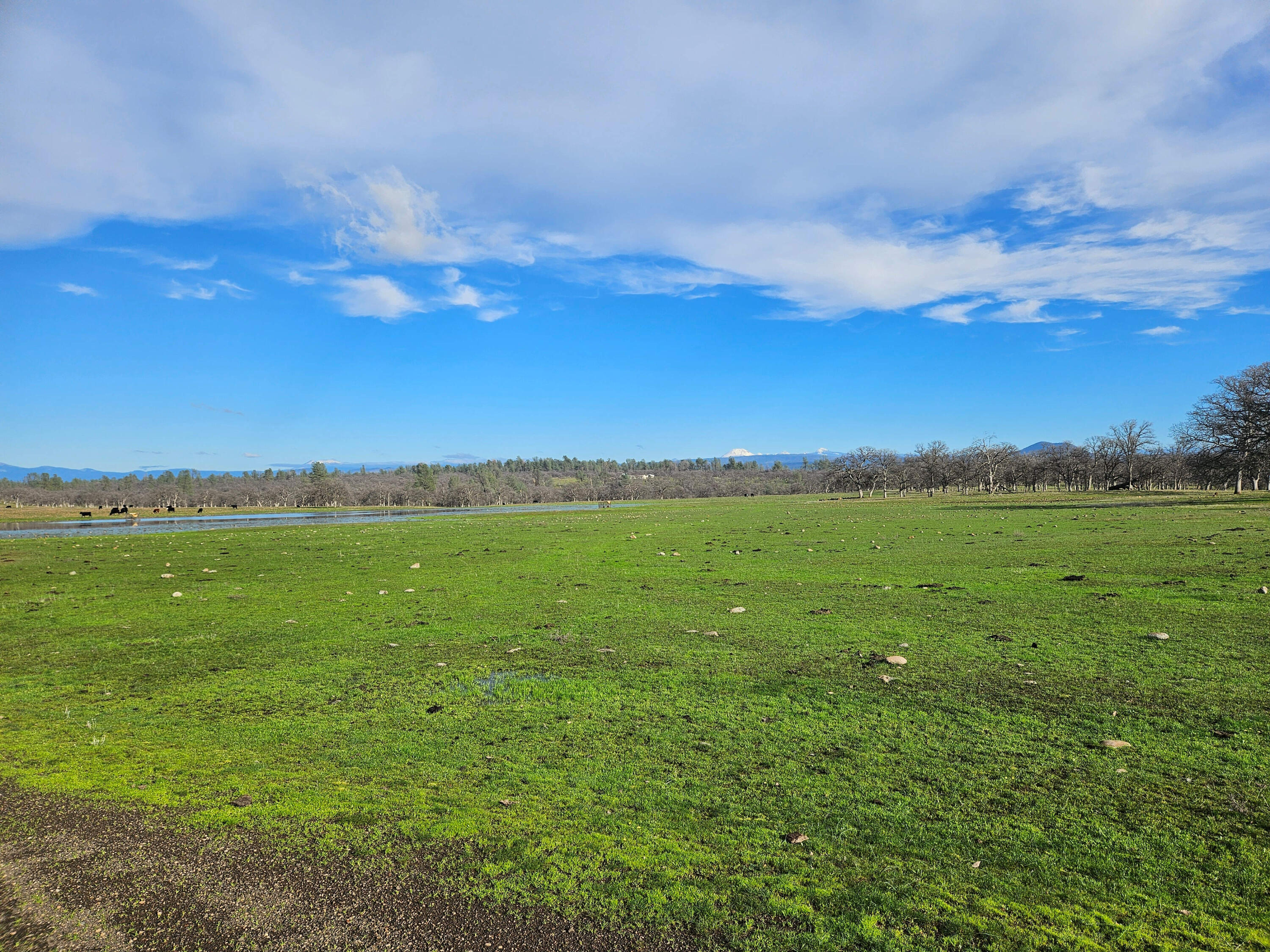 7255 Hyrax Road Shingletown, CA 96088 - Photo 25 of 77 Expansive view