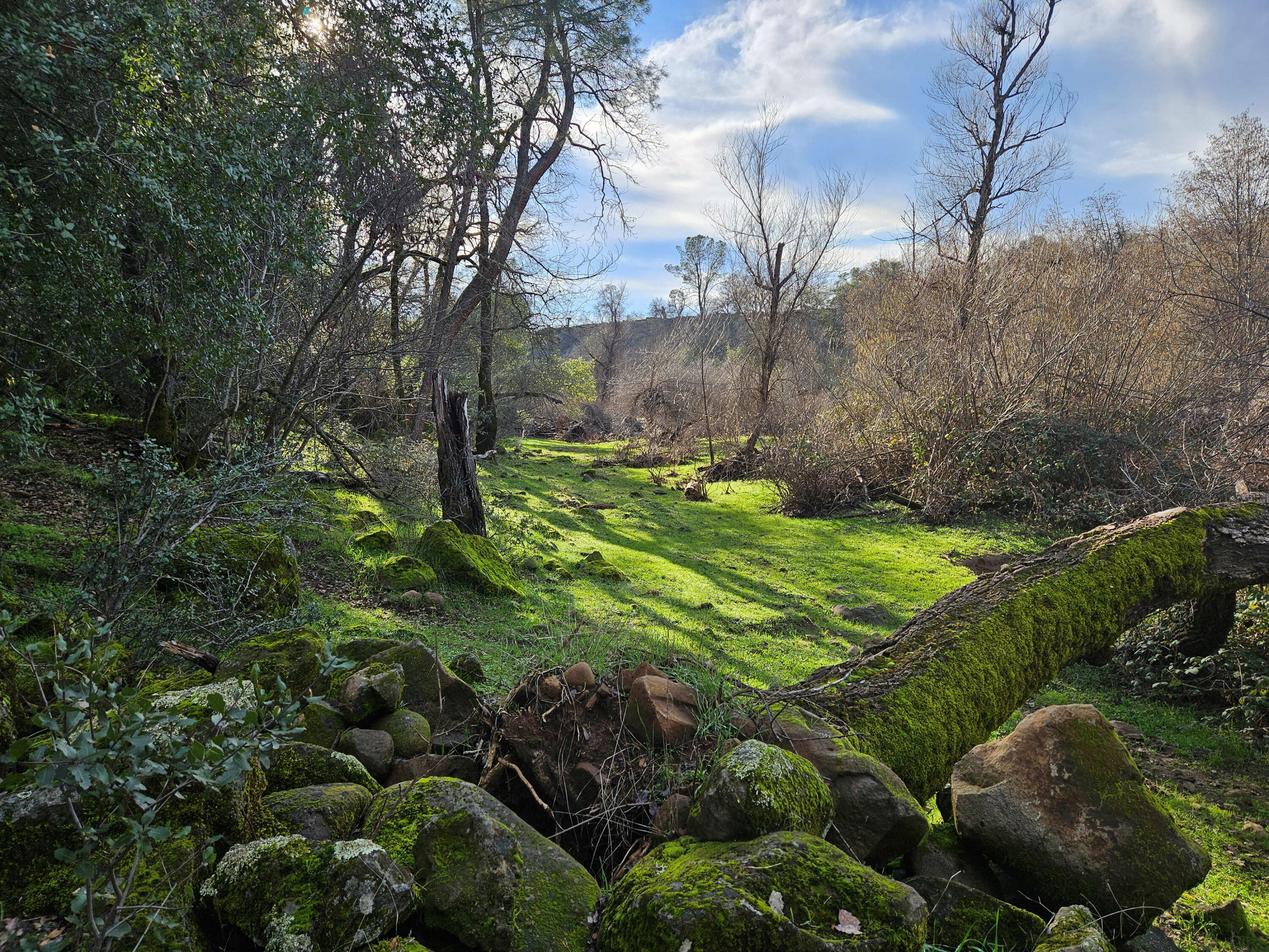 7255 Hyrax Road Shingletown, CA 96088 - Photo 26 of 77 From parking area near creek