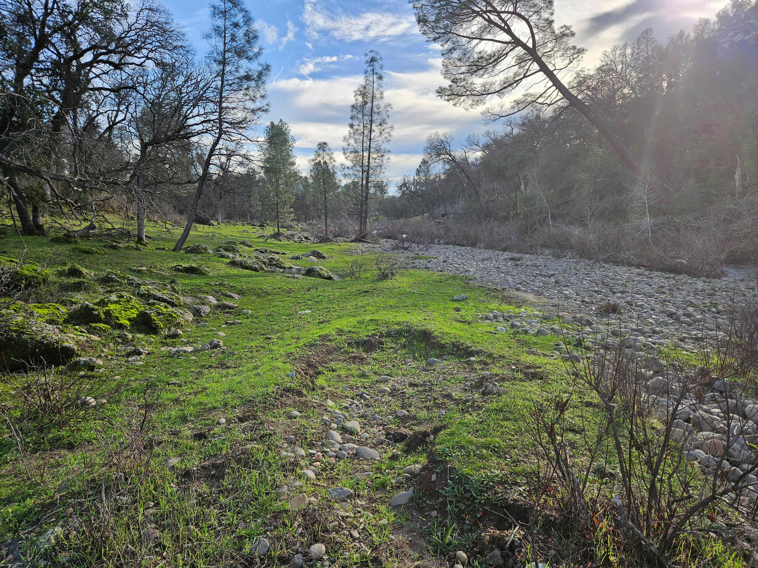 7255 Hyrax Road Shingletown, CA 96088 - Photo 48 of 77 Level area along creek