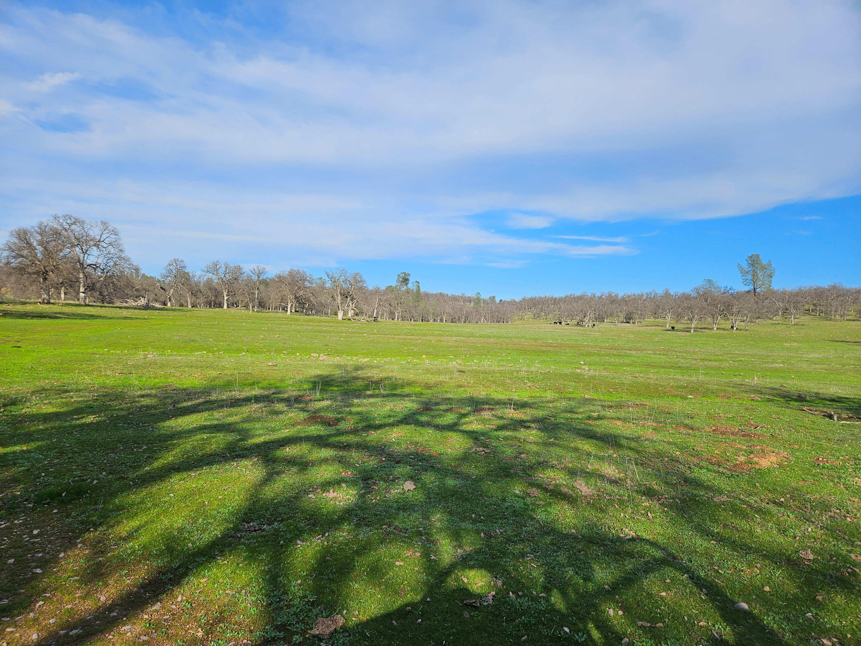 7255 Hyrax Road Shingletown, CA 96088 - Photo 49 of 77 Level near creek