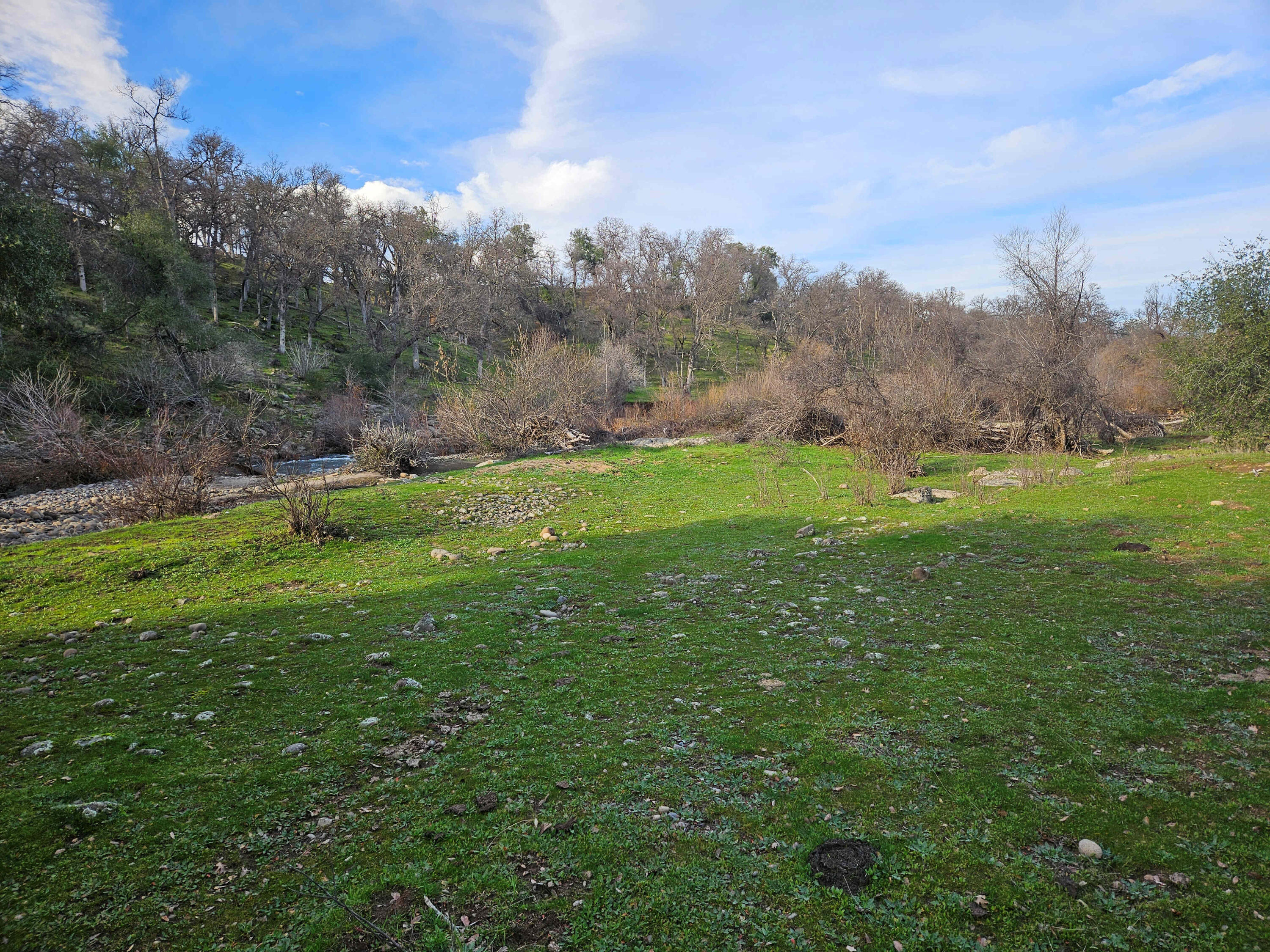 7255 Hyrax Road Shingletown, CA 96088 - Photo 51 of 77 Nice area along creek