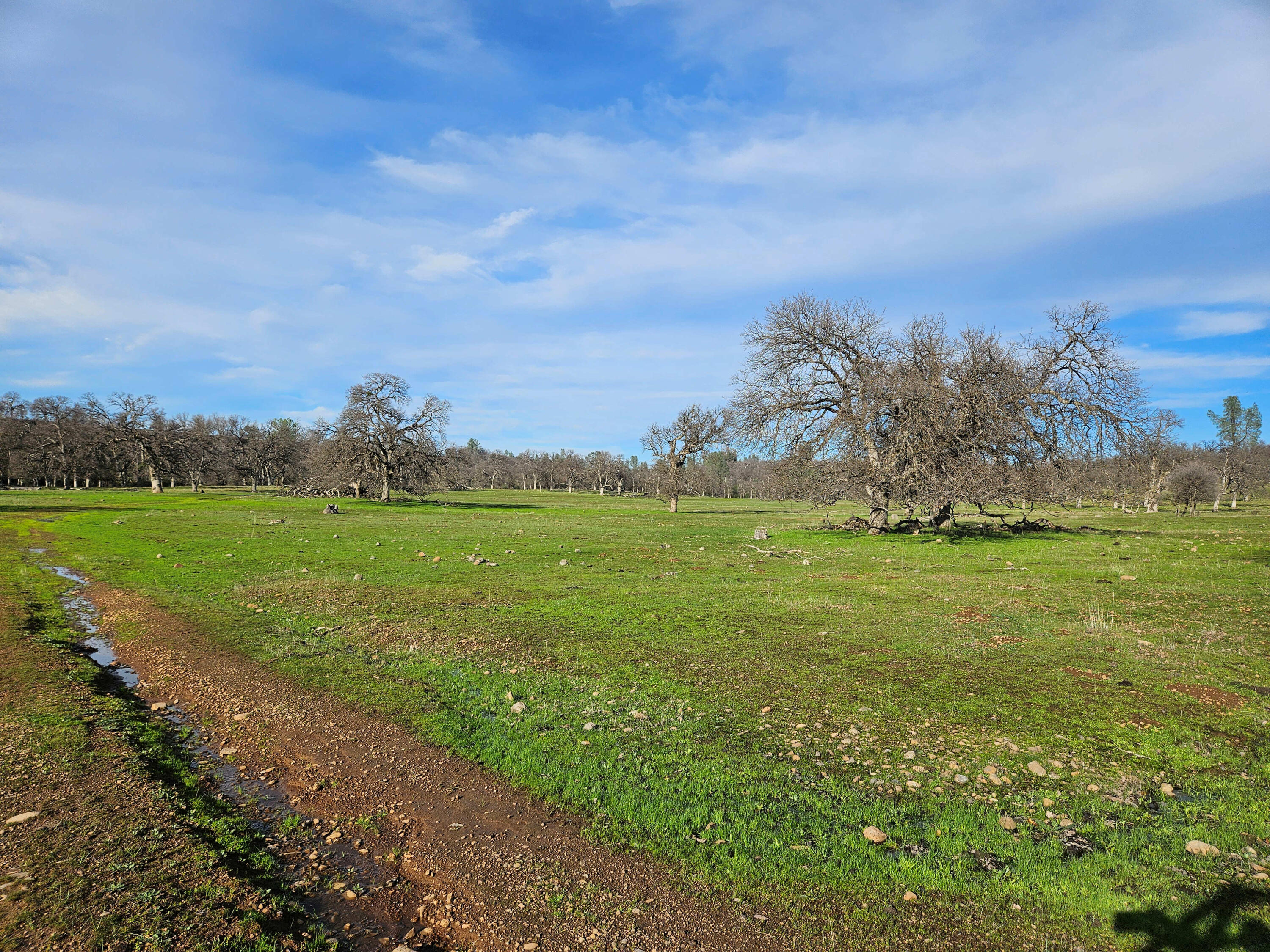 7255 Hyrax Road Shingletown, CA 96088 - Photo 53 of 77 Open area near Bear Creek